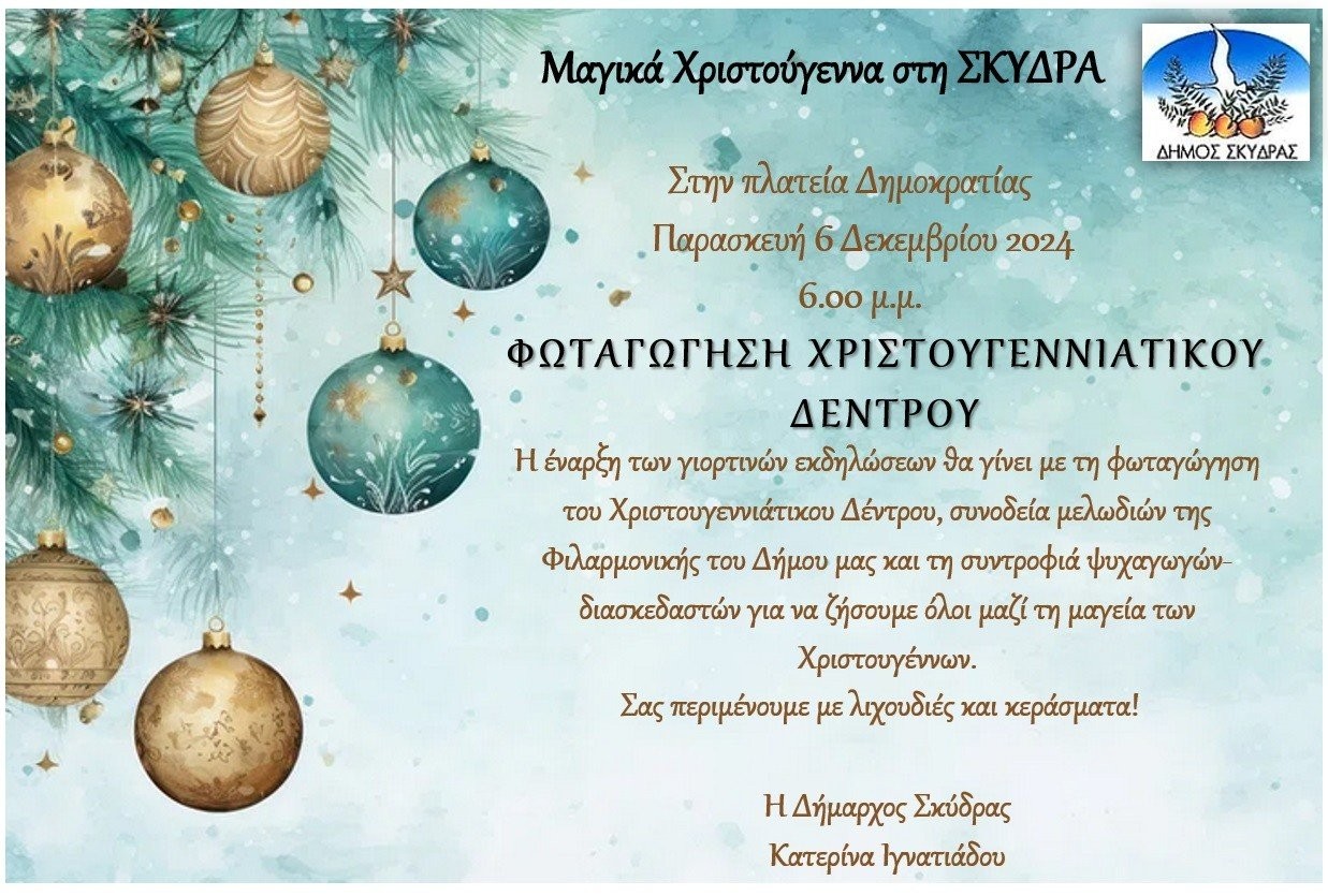 dhmos-skydras-fotagoghsh-xristugenniatiku-dentru-2024.jpg