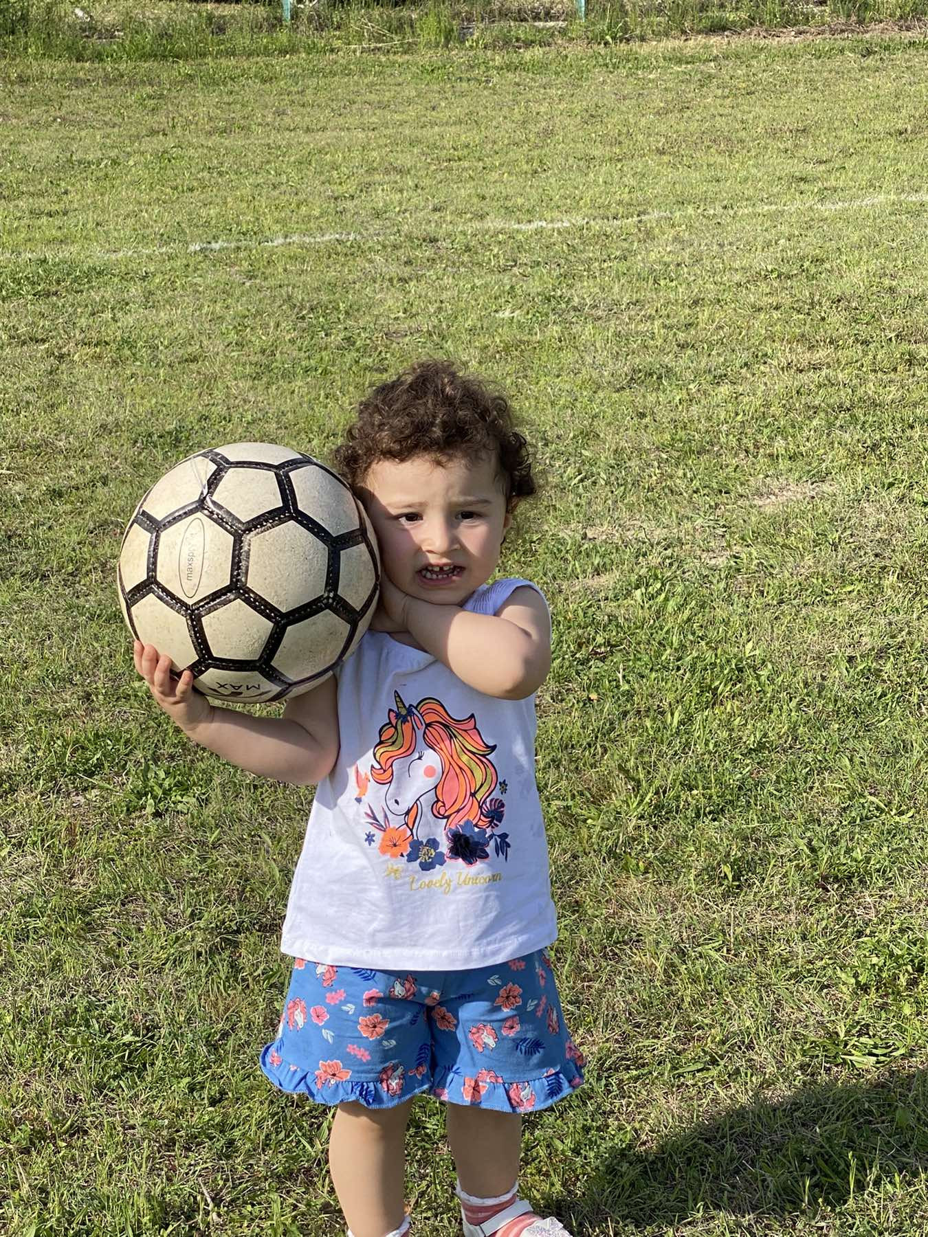 img-15ca1099ee7b1586b458f1e7d94de779-v.jpg