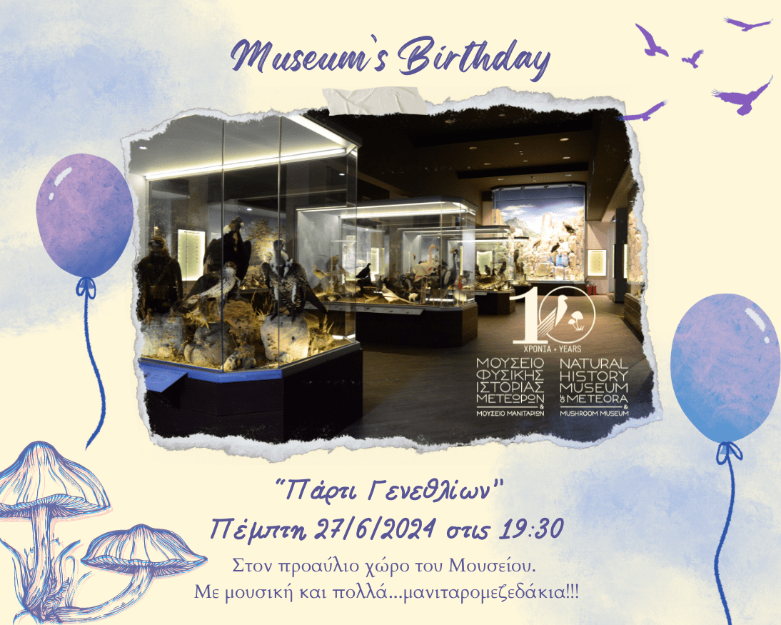 meteramuseum-birthdaycard.png
