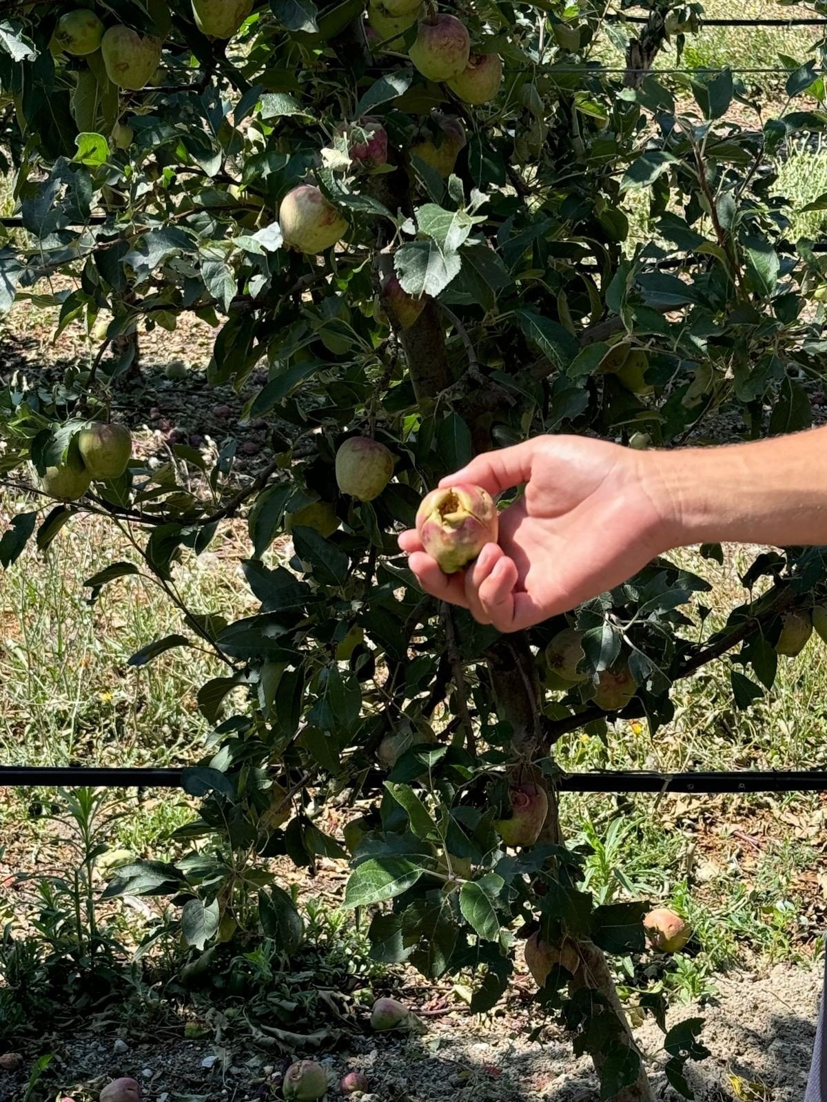 Λάκης Βασιλειάδης: Επίσκεψη σε πληγείσες τοπικές κοινότητες της ΔΕ Βεγορίτιδας