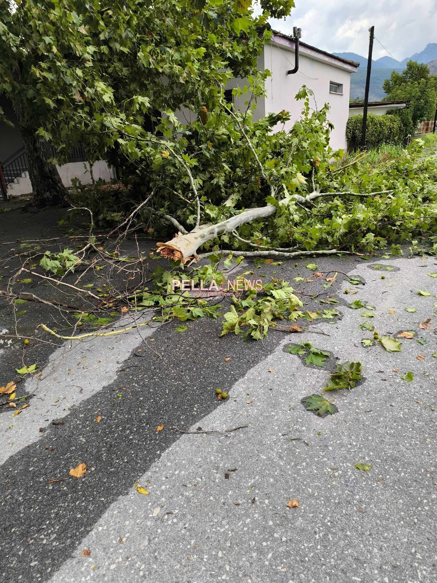 Ανατολική Αλμωπια: Εικόνες καταστροφής από το Μπουρίνι