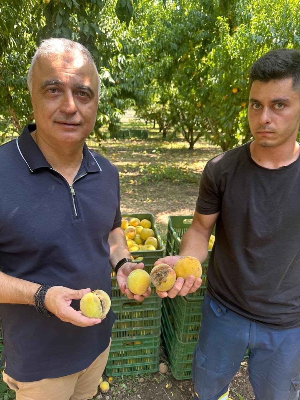 Δίπλα στους πληγέντες παραγωγούς της Ημαθίας ο Λάζαρος Τσαβδαρίδης