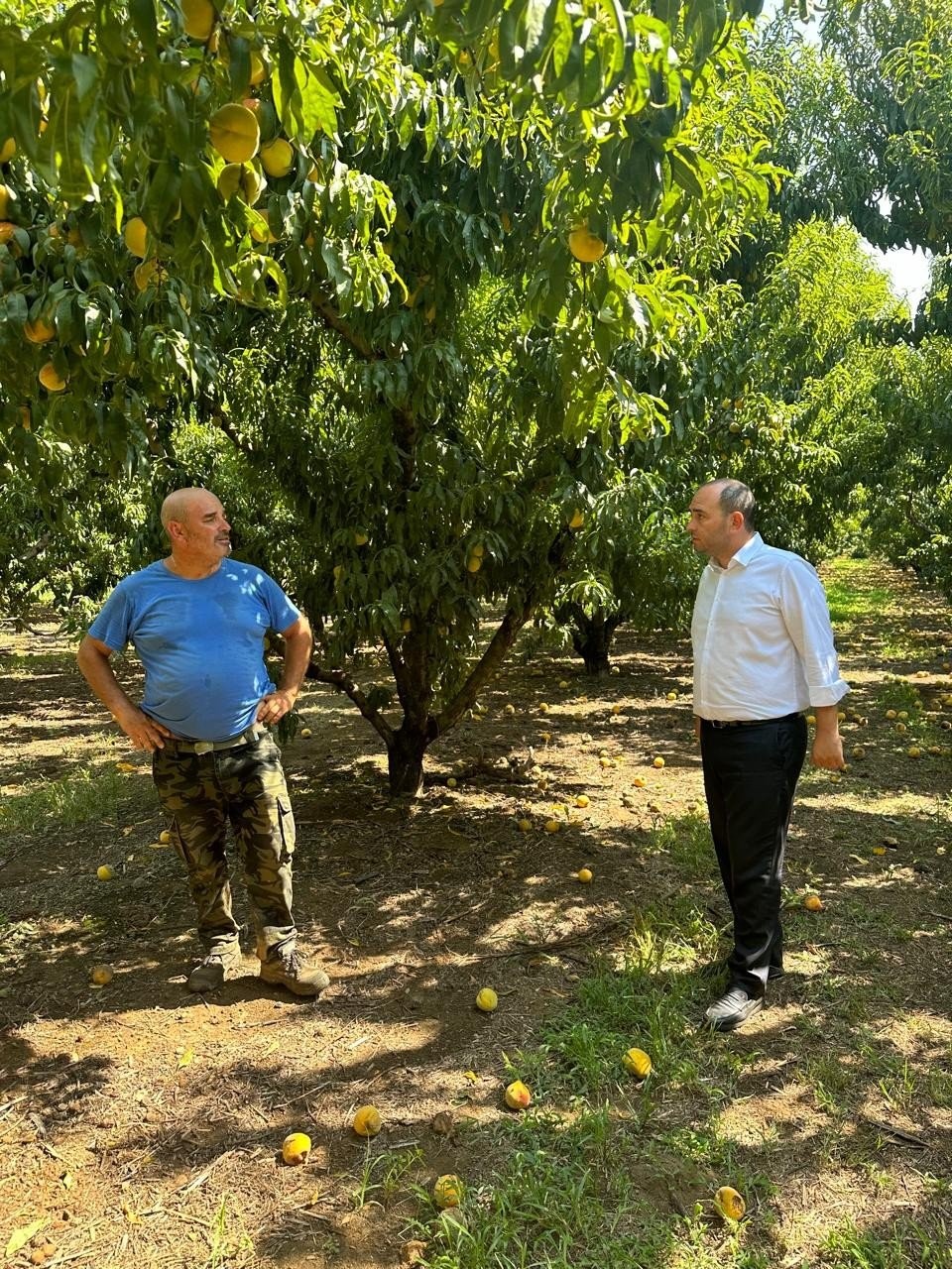 Λάκης Βασιλειάδης: Να αποζημιωθούν δίκαια οι παραγωγοί από της ζημιές της βροχόπτωσης σε όλα τα προϊόντα