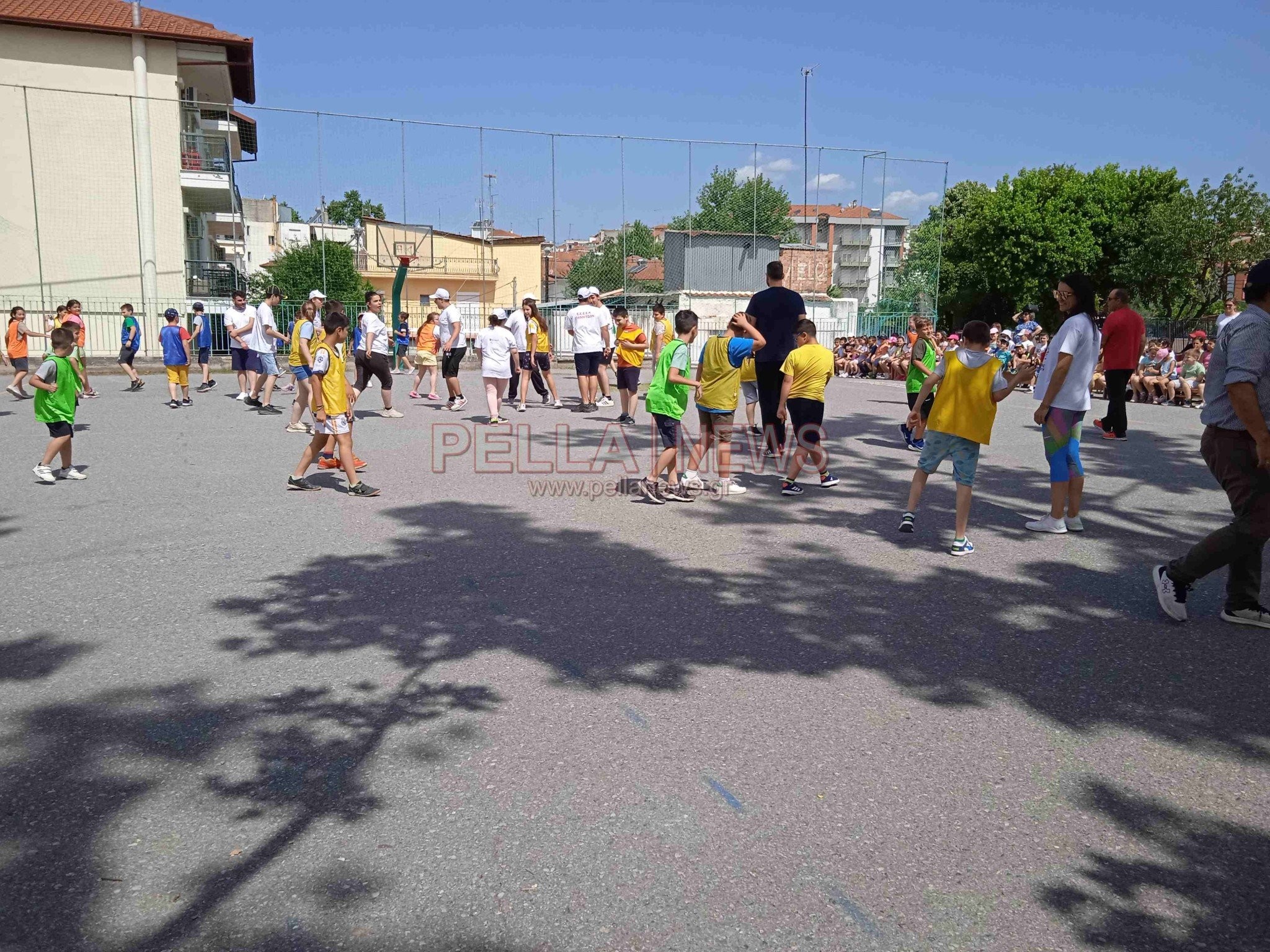 Εκπαιδευτικό Πρόγραμμα «Ιστορίες Συμπερίληψης στη Φυσική Αγωγή»