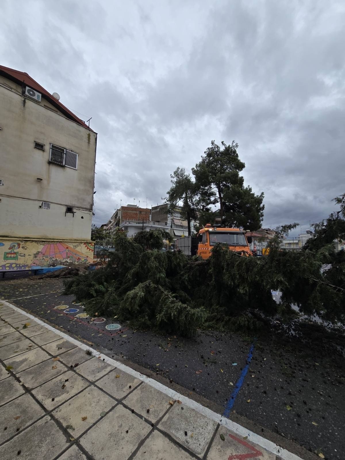 Αποτελεσματικά και άμεσα αντιμετώπισε τα ακραία καιρικά φαινόμενα ο Δήμος Πέλλας