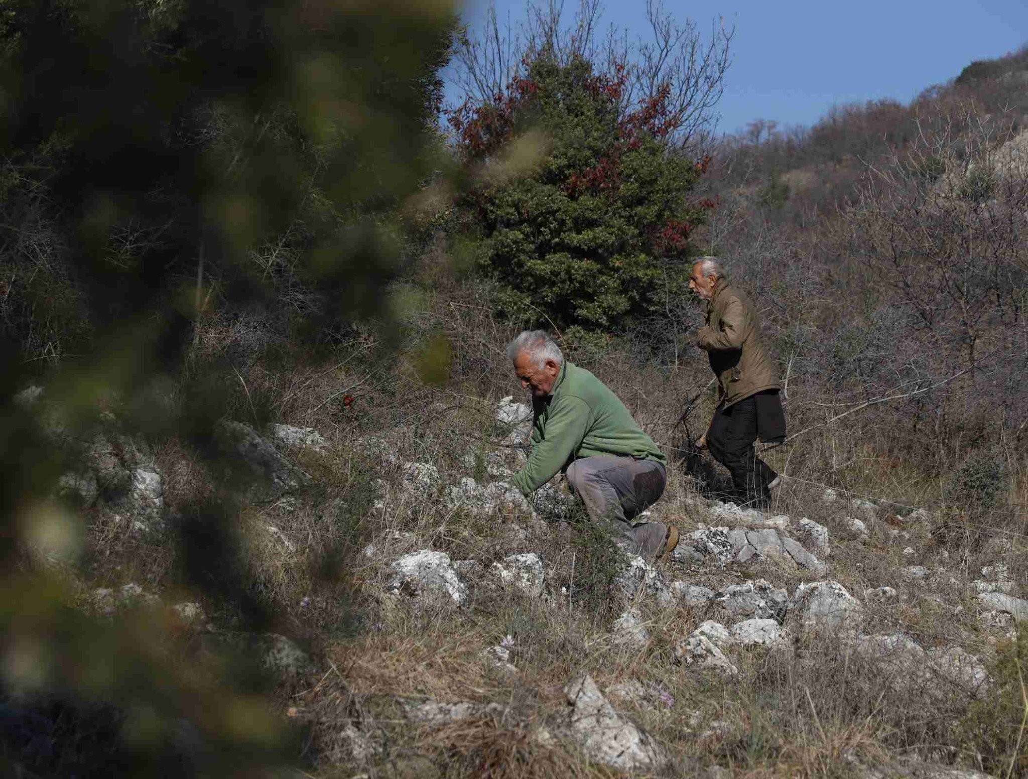 Περιβαλλοντική Πρωτοβουλία Σεβαστειανών: Συνεχίζει τις δενδροφυτεύσεις, στέλνει μηνύματα και αναμένει στο «ακουστικό»!