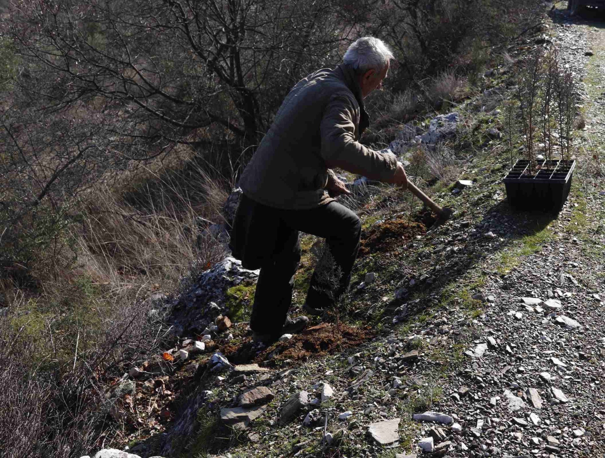 Περιβαλλοντική Πρωτοβουλία Σεβαστειανών: Συνεχίζει τις δενδροφυτεύσεις, στέλνει μηνύματα και αναμένει στο «ακουστικό»!