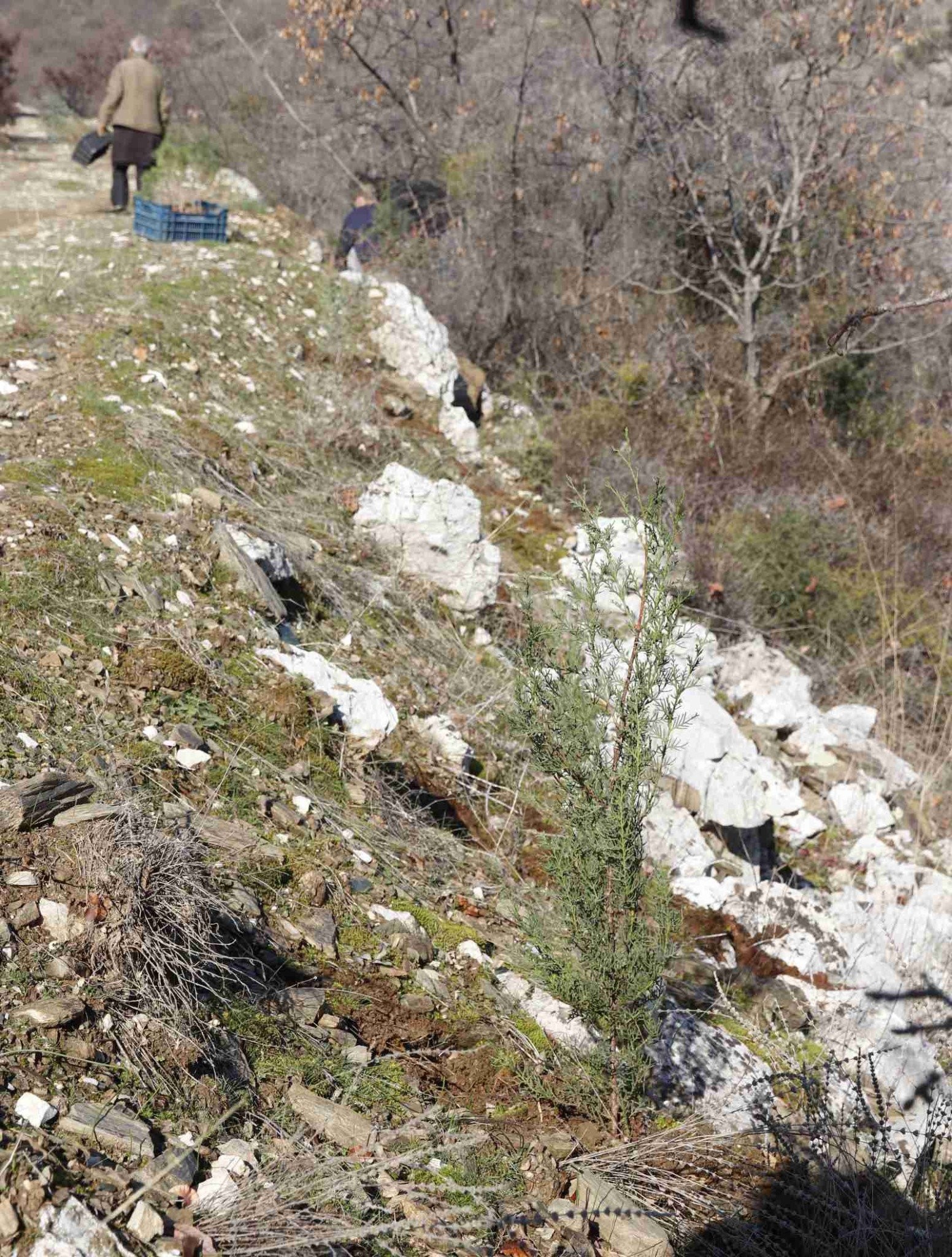 Περιβαλλοντική Πρωτοβουλία Σεβαστειανών: Συνεχίζει τις δενδροφυτεύσεις, στέλνει μηνύματα και αναμένει στο «ακουστικό»!