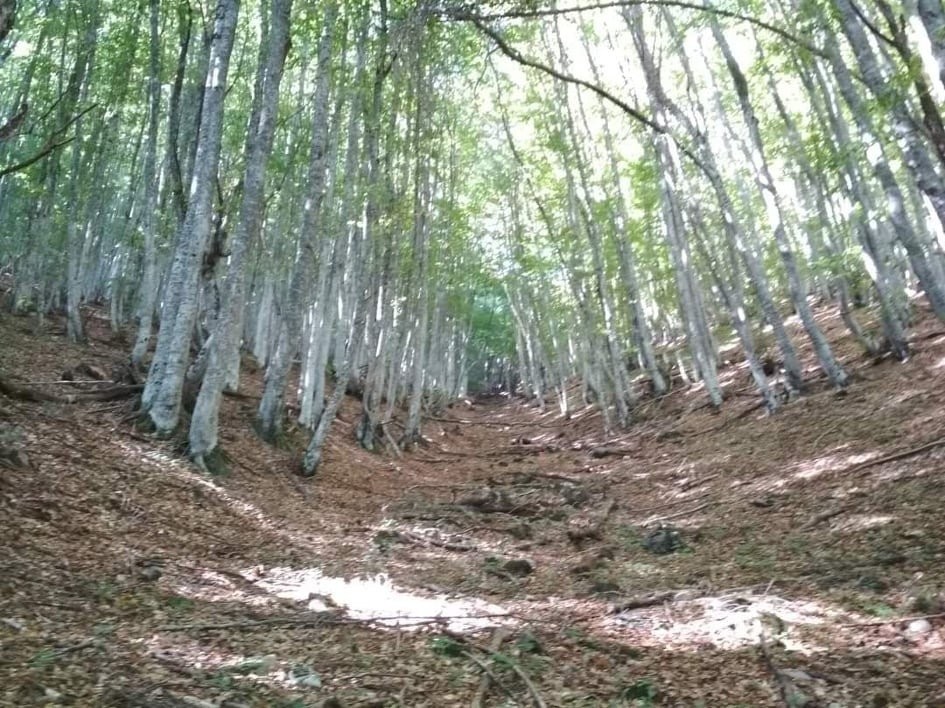 Προχωρά η δημιουργία Δικτύου Μονοπατιών στον Δήμο Νάουσας