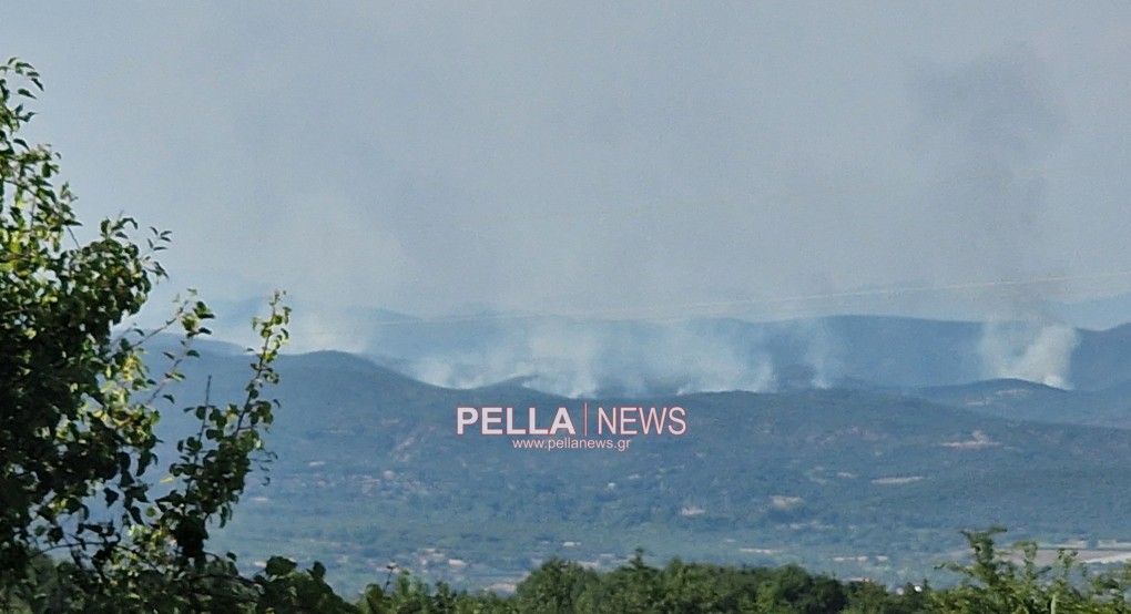 Ευζώνοι: Υπό έλεγχο η φωτιά