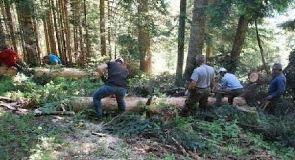 Σωματείο Δασεργατών Εδέσσης και Περιφέρειας προς Υπουργό: Είμαστε απελπισμένοι από την εγκατάλειψη του κλάδου