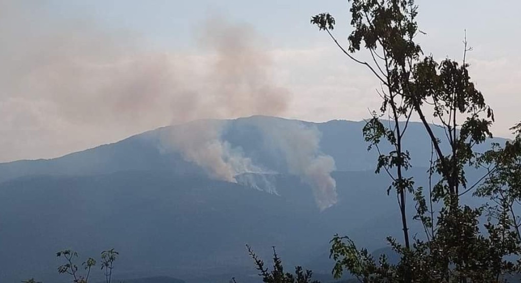 Τζαμτζής για φωτιά στο Πάικο: Δυστυχώς συνεχίζει στο πεδίο βολής