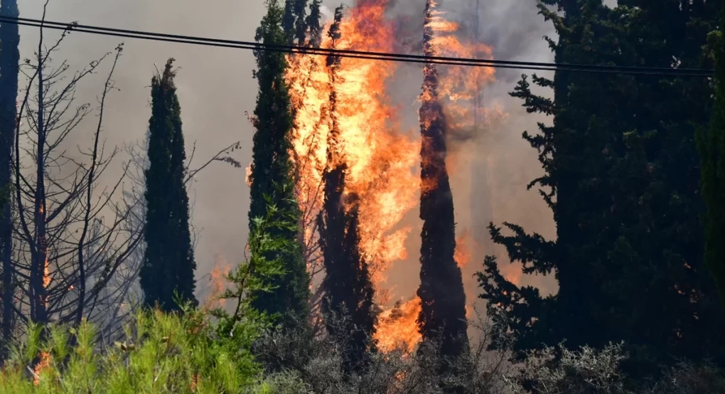 Κρήτη: Φωτιά στην περιοχή Άνω Άκρια Ηρακλείου -Μήνυμα του «112» στους κατοίκους, «απομακρυνθείτε προς Ασήμι»