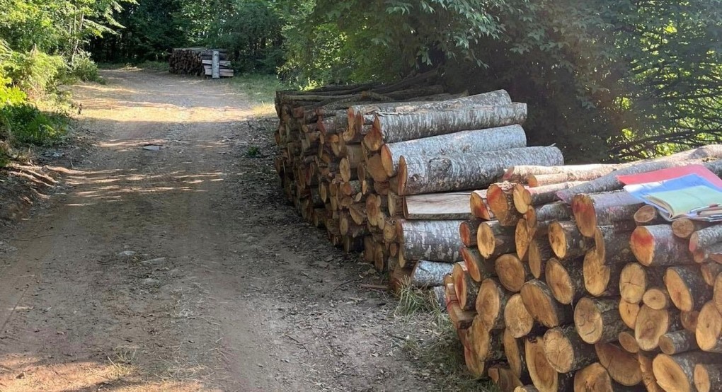 Ξεκίνησε η διάθεση καυσόξυλων για την κάλυψη αναγκών ευπαθών ομάδων