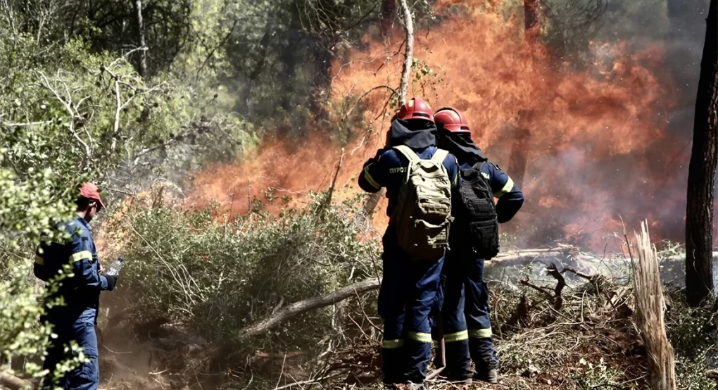 Φωτιά σε δασική έκταση στο Σοφικό Κορινθίας - Τραυματίστηκαν ελαφρά τρεις πυροσβέστες