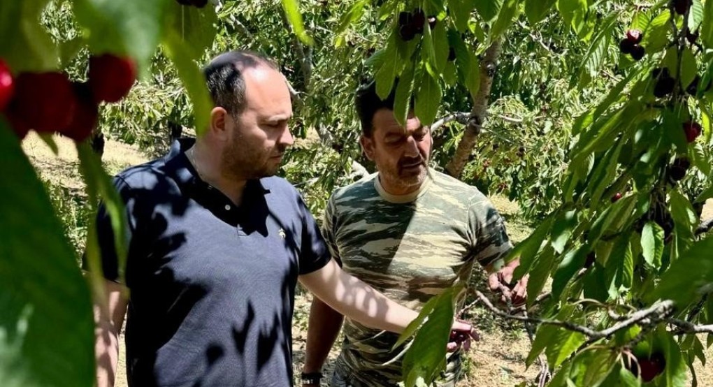 Λάκης Βασιλειάδης: Σε κτήματα στα χωριά Καρυδιά, Κερασιά, Κορυφή