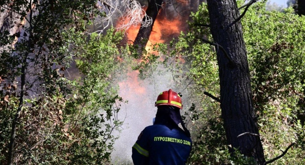 Φωτιά στο Ηράκλειο της Κρήτης - Εστάλη μήνυμα από το 112