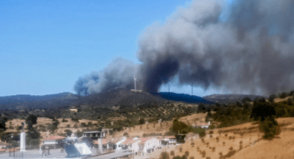 Πυρκαγιά στην Εύβοια: Πέρασε την εθνική οδό, μαίνεται στον κάμπο του Δύστου