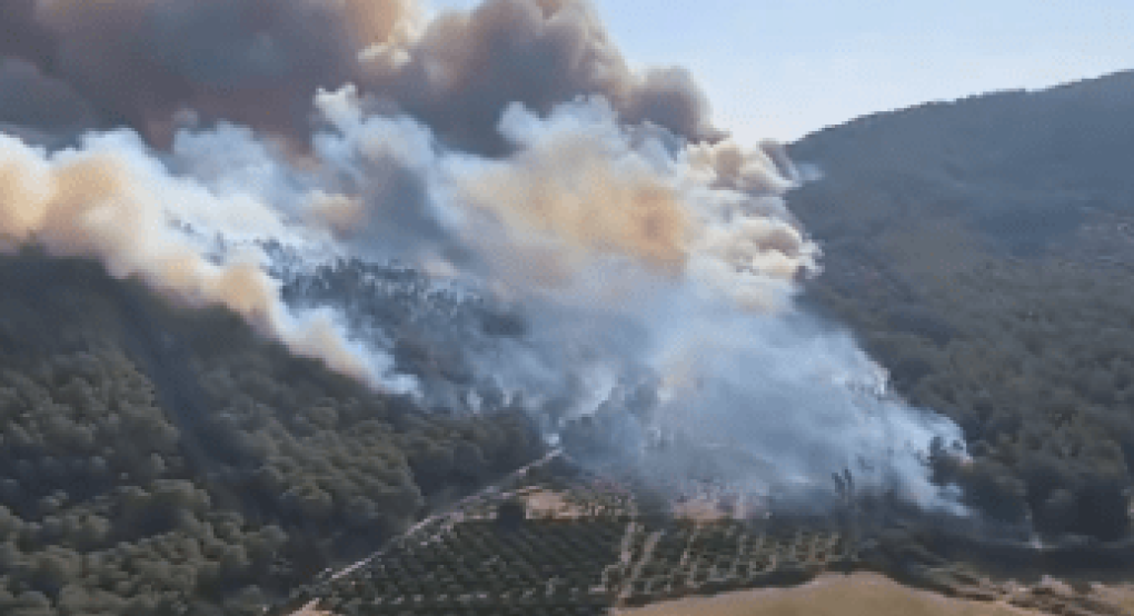 Φωτιά τώρα στις Σέρρες – Σηκώθηκαν αεροσκάφη