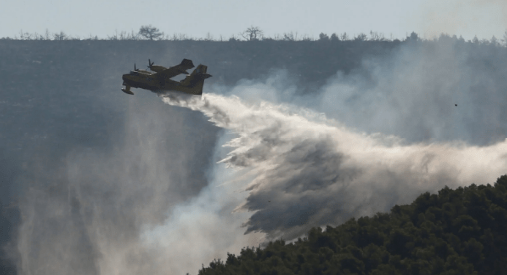 Από άγριο πουλί ξεκίνησε πιθανότατα η φωτιά στην Εύβοια – Τα ευρήματα της Πυροσβεστικής