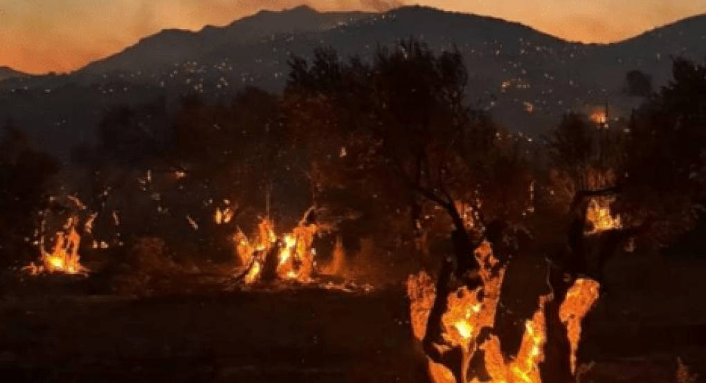 Πολύ υψηλός κίνδυνος πυρκαγιάς την Παρασκευή στην Αττική και άλλες τρεις περιφέρειες