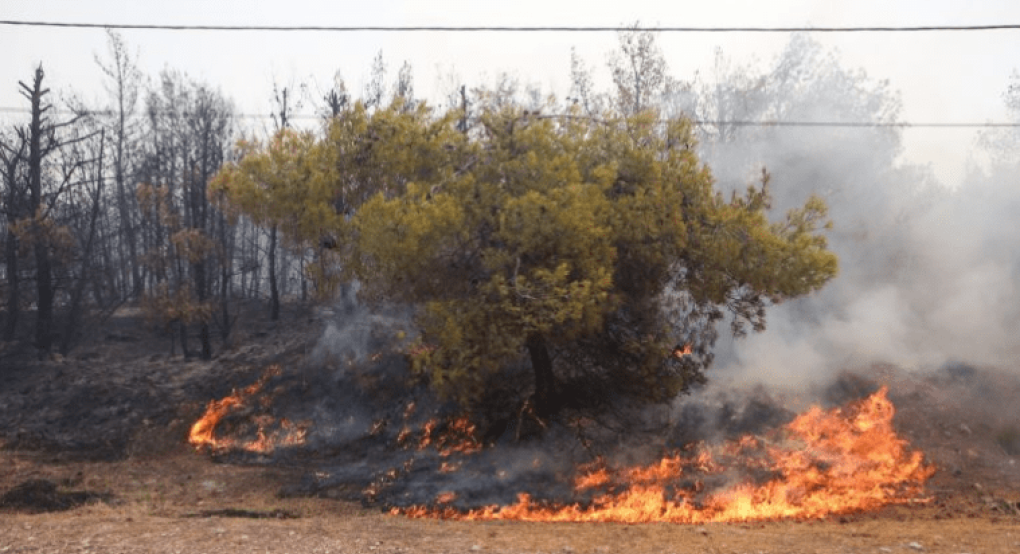 Φωτιά στον Έβρο σε δασική έκταση στο Μέγα Δέρειο