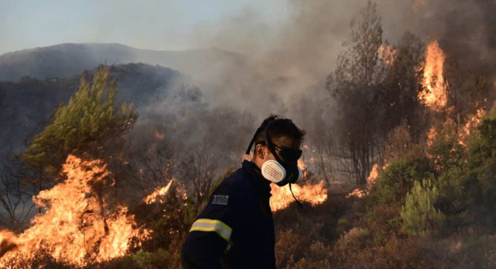 Περιβαλλοντικοί σύλλογοι για φωτιές / Η κυβέρνηση να ρίξει το βάρος στην πρόληψη και να μην ενοχοποιεί την φύση