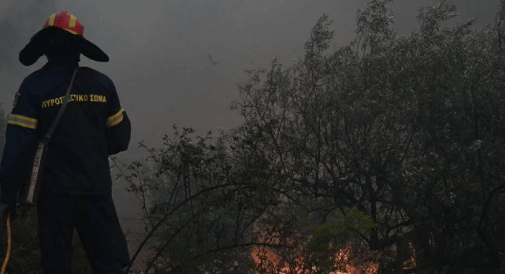 Φωτιές / 31 αγροτοδασικές πυρκαγιές το τελευταίο 24ωρο σε όλη τη χώρα