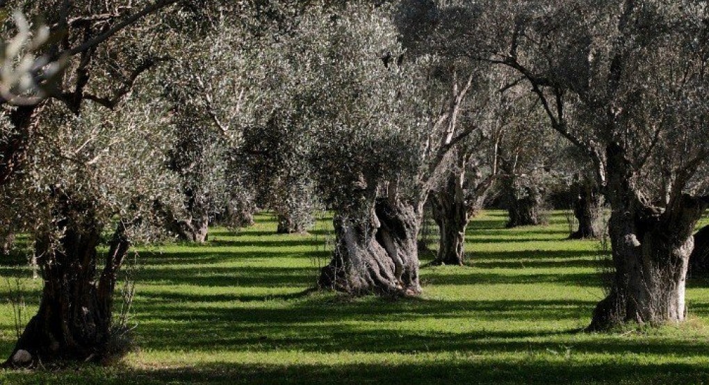 Απάντηση στις προκλήσεις που γεννά ο υπερτουρισμός στο βόρειο μέτωπο της Κρήτης δίνουν οι εναλλακτικές μορφές τουρισμού