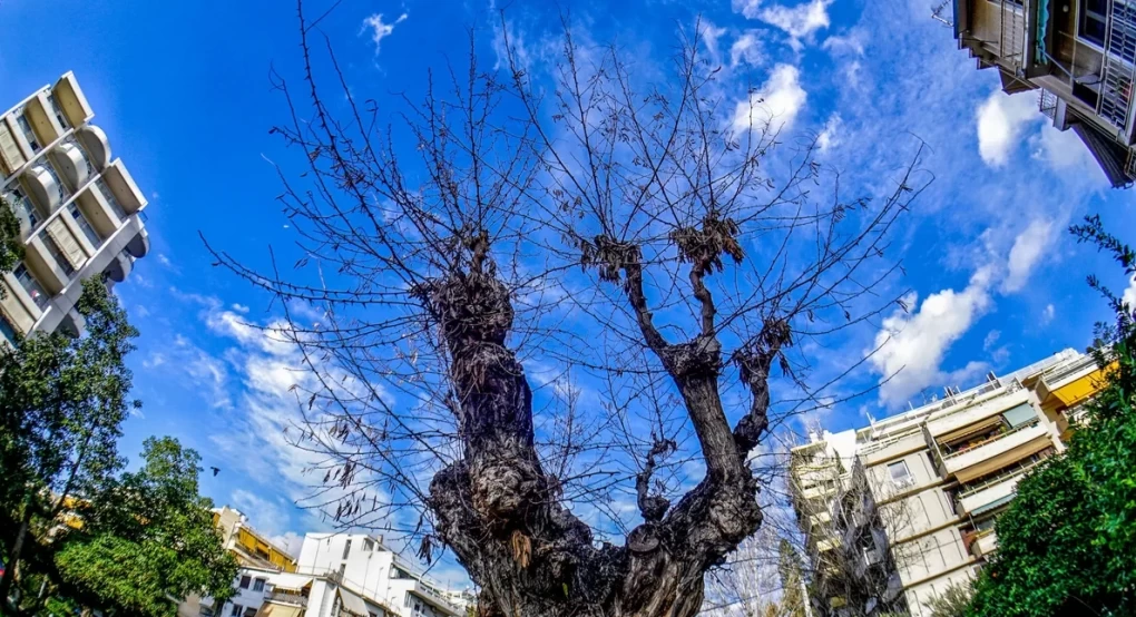 Με τι καιρό θα κάνει ποδαρικό ο Νοέμβριος