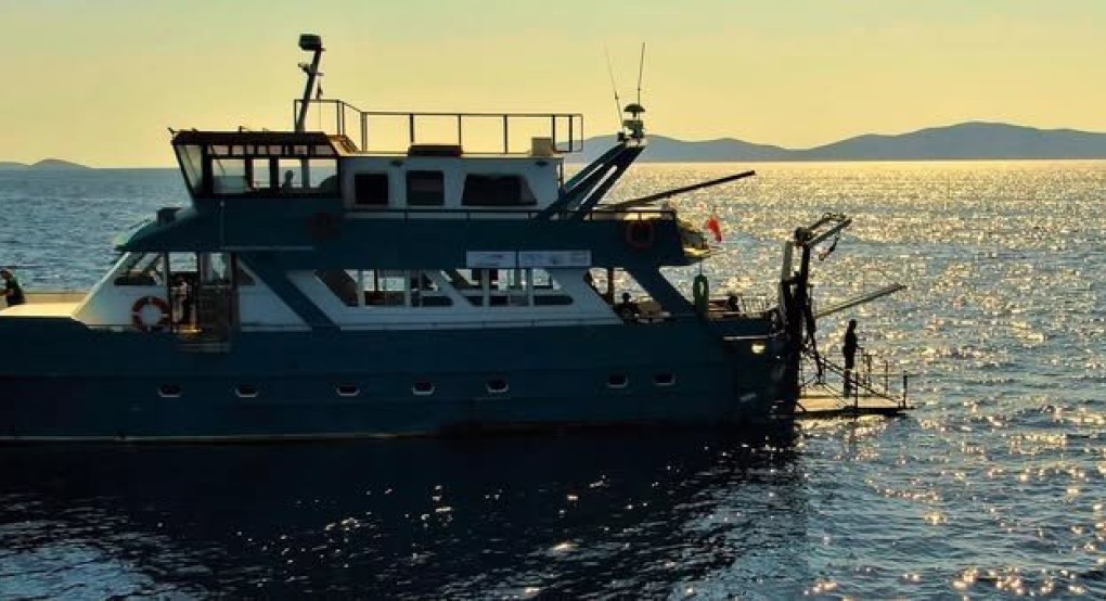 Ινστιτούτο Θαλάσσιας Προστασίας Αρχιπέλαγος- Υπό Δημιουργία Κέντρο Περίθαλψης & Καταφύγιο Θαλάσσιων Ειδών στο Αιγαίο