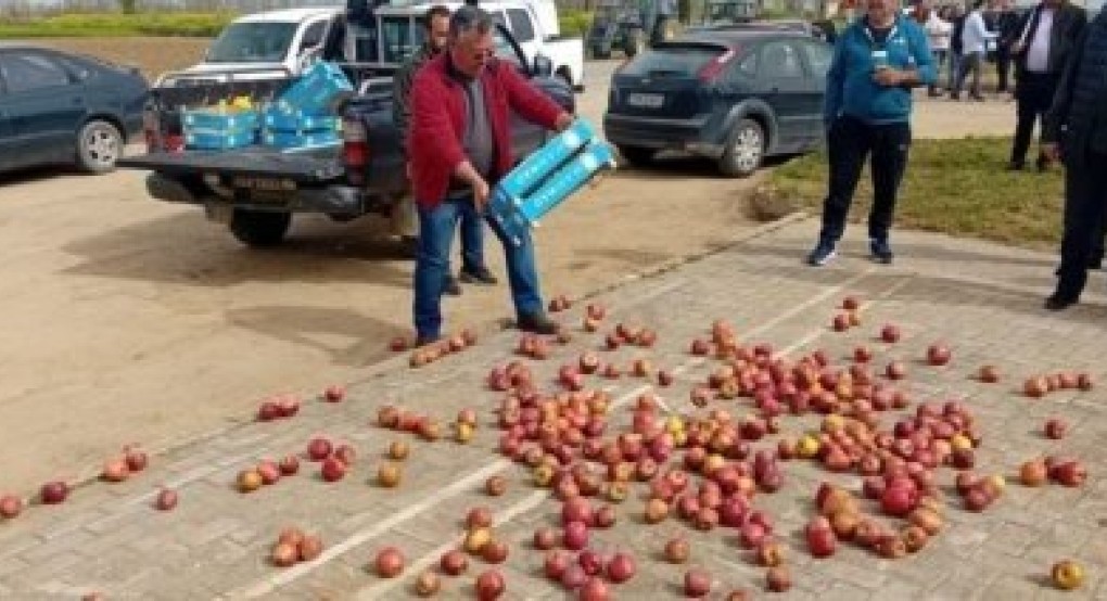 Απαραίτητες οι διευκρινήσεις για τις de minimis ενισχύσεις μηλοπαραγωγών και καστανοπαραγωγών