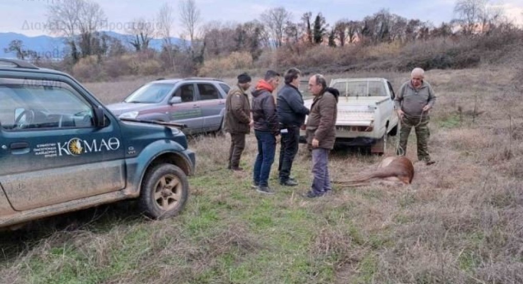 Σοβαρό περιστατικό λαθροθηρίας στο Καταφύγιο Άγριας Ζωής της Κερκίνης