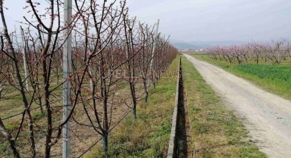 Τετράμηνη η αρδευτική περίοδος στον Δ. Σκύδρας με ερωτηματικό το Μάνδαλο