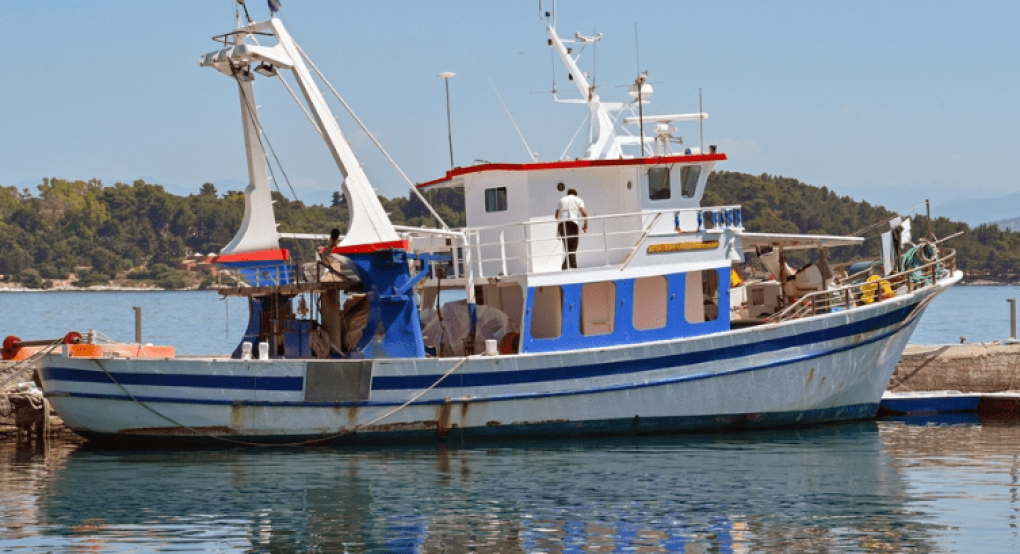 Αλιεία: Πρόσκληση για υποβολή αιτήσεων για οικονομική ενίσχυση για κατάργηση του γρίπου σε βιντζότρατες