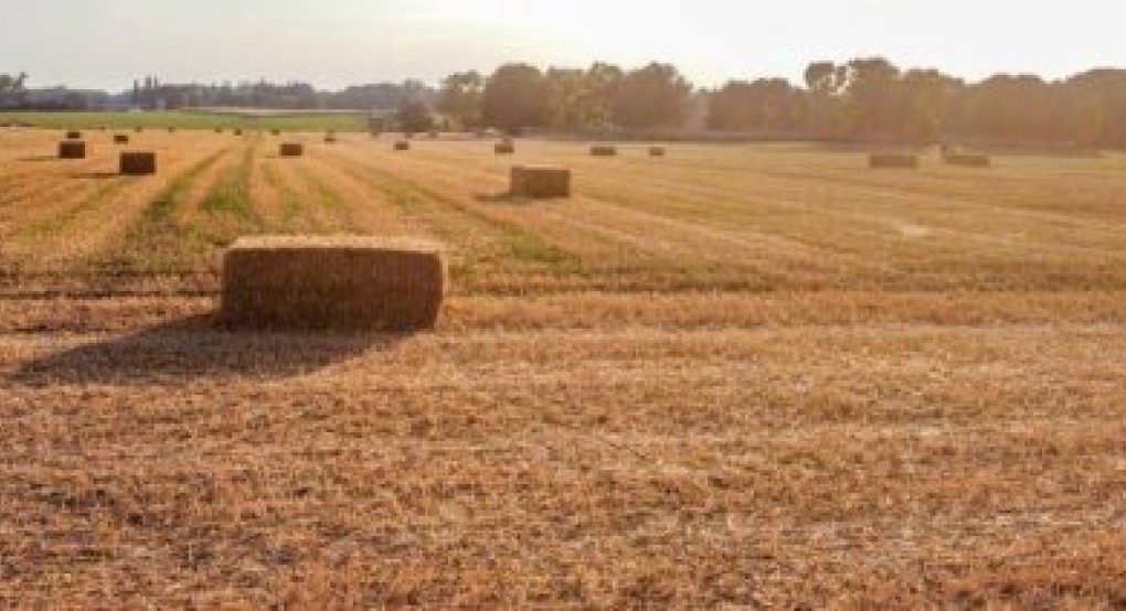 Διευκρινίσεις για την απαλλαγή αγροτικών εκμεταλλεύσεων από την υποχρέωση της αγρανάπαυσης