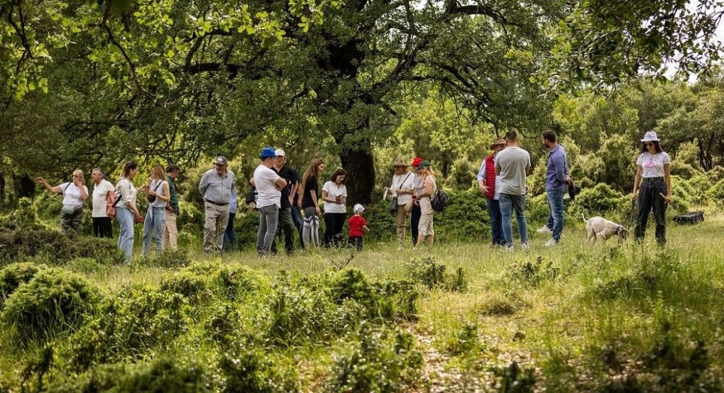 Στις 3 Μαρτίου ξεκινά το Κυνήγι Τρούφας στα Μετέωρα