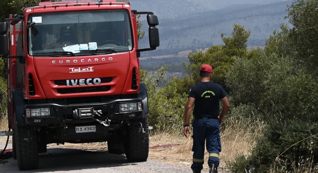 Φωτιά στη Σίβηρη Χαλκιδικής - Επιχειρούν και εναέρια μέσα