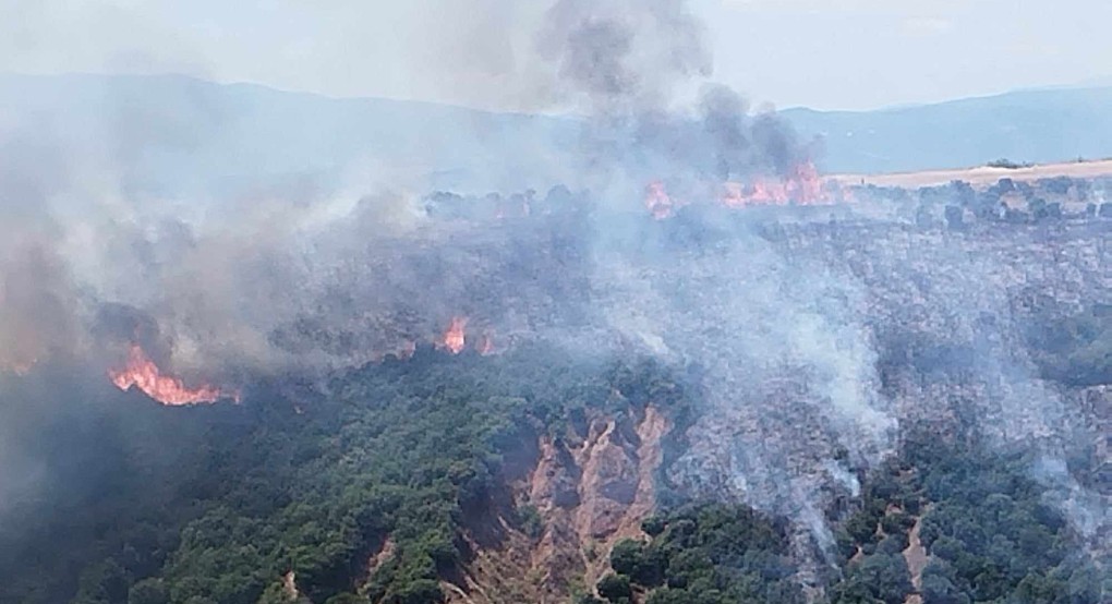 Πέλλα: Προειδοποίηση στους πολίτες για την πυρκαγιά