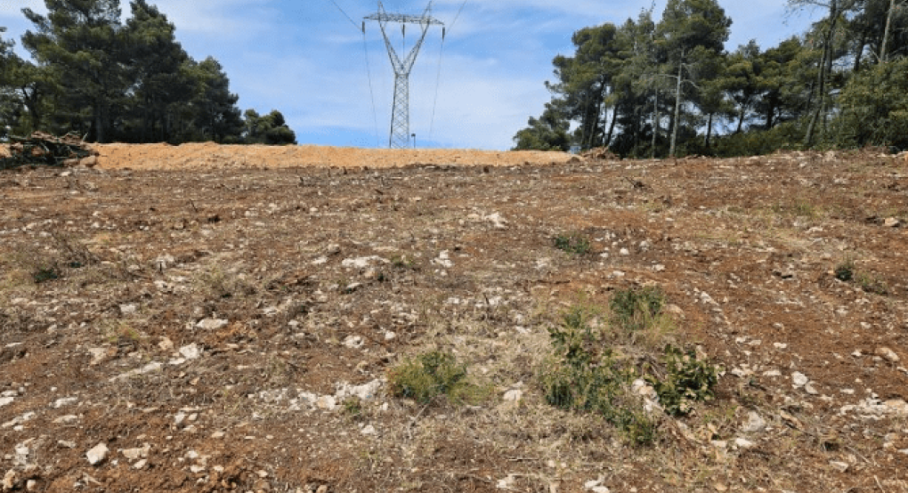 Τι πρέπει να κάνουν οι πολίτες με τις δηλώσεις για τους καθαρισμούς των οικοπέδων