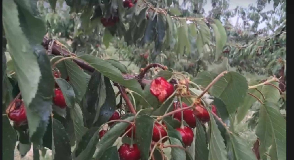 Ισχυρό χαλάζι στην Πέλλα