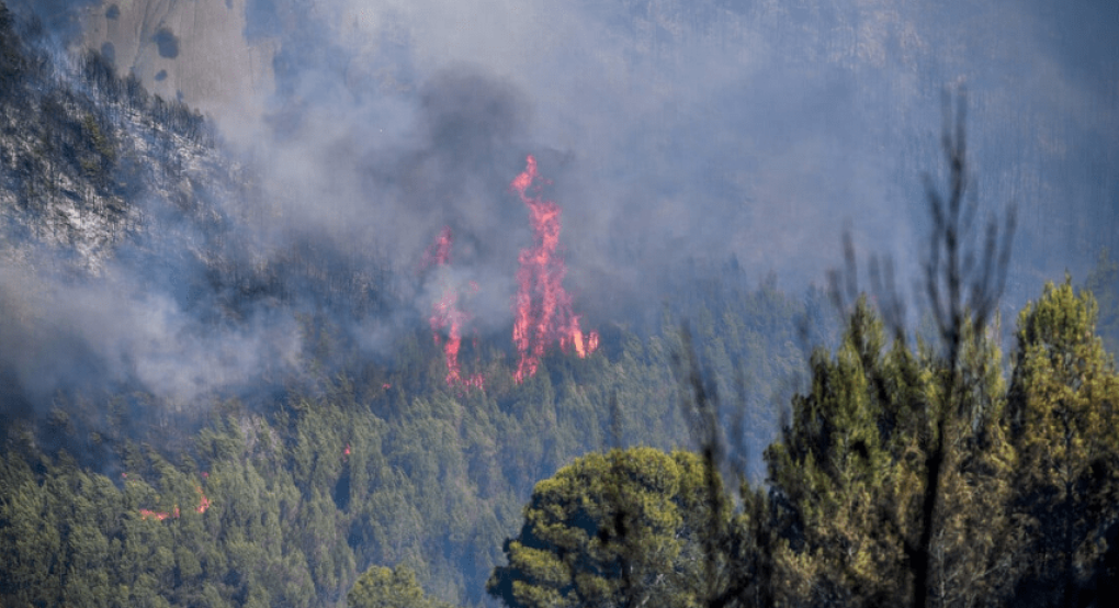 Φωτιά τώρα στην Πέλλα: Επιχειρούν 45 πυροσβέστες και τρία αεροσκάφη