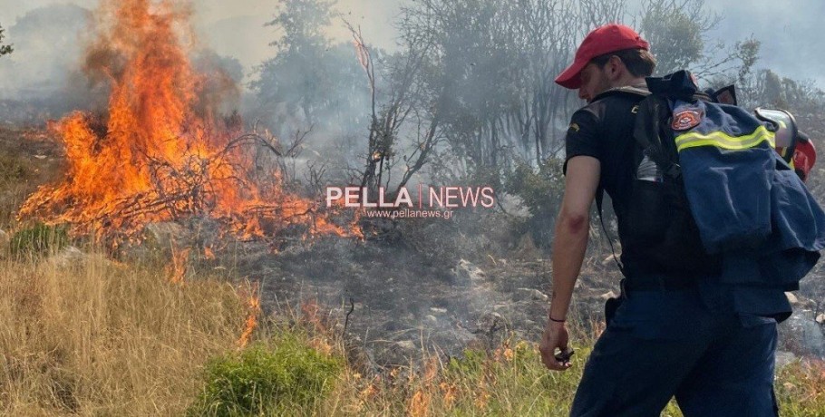 Το pellanews στο Πάικο: Τεράστια οικολογική καταστροφή