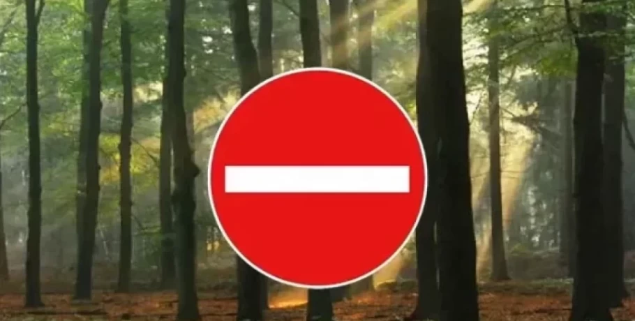 Απαγόρευση Κυκλοφορίας στο Δάσος-Πάρκο Έδεσσας του Δ. Έδεσσας και στο Δάσος Ελευθεροχωρίου Δ. Πέλλας της ΠΕ Πέλλας