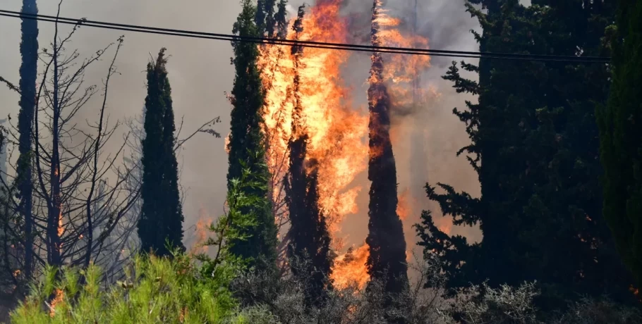 Κρήτη: Φωτιά στην περιοχή Άνω Άκρια Ηρακλείου -Μήνυμα του «112» στους κατοίκους, «απομακρυνθείτε προς Ασήμι»