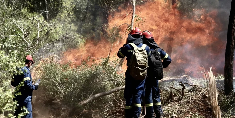 Φωτιά σε δασική έκταση στο Σοφικό Κορινθίας - Τραυματίστηκαν ελαφρά τρεις πυροσβέστες