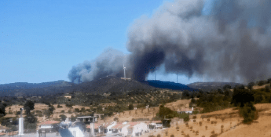 Πυρκαγιά στην Εύβοια: Πέρασε την εθνική οδό, μαίνεται στον κάμπο του Δύστου