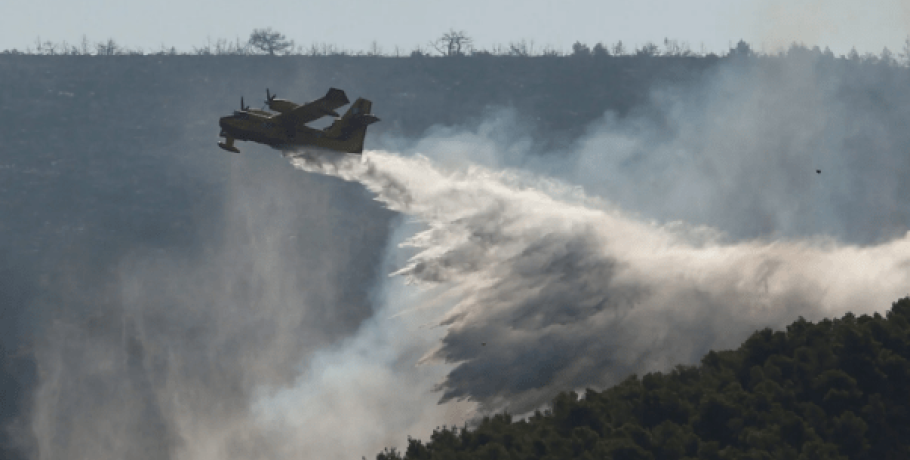 Από άγριο πουλί ξεκίνησε πιθανότατα η φωτιά στην Εύβοια – Τα ευρήματα της Πυροσβεστικής