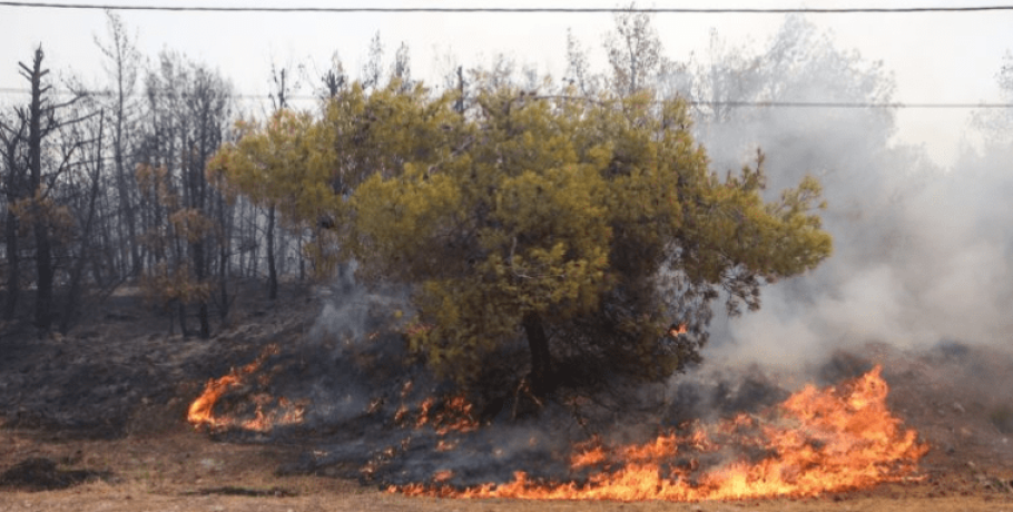 Φωτιά στον Έβρο σε δασική έκταση στο Μέγα Δέρειο