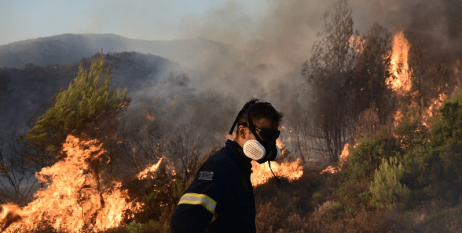 Περιβαλλοντικοί σύλλογοι για φωτιές / Η κυβέρνηση να ρίξει το βάρος στην πρόληψη και να μην ενοχοποιεί την φύση